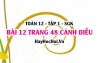 Bài 12 trang 48 Toán 12 tập 1 Cánh Diều